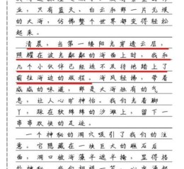 暑假趣事作文怎么写_有哪些真实素材