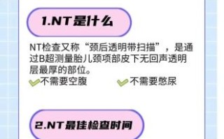 孕妇nt检查是什么_孕妇nt检查最佳时间