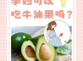 孕妇能吃牛油果吗_牛油果对胎儿的好处