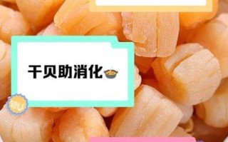 孕妇可以吃干贝吗_干贝对孕妇的好处与禁忌