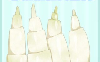 孕妇能吃茭白吗_孕期吃茭白注意事项