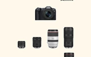 佳能微焦镜头怎么选_佳能微距镜头推荐