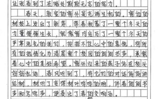 窗外作文怎么写_初二800字范文