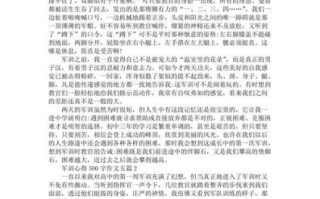 军训感悟500字作文怎么写_军训作文写作技巧