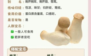 孕妇可以吃杏鲍菇吗_孕期吃杏鲍菇注意事项