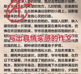 什么是学会了理解作文_如何写出真情实感