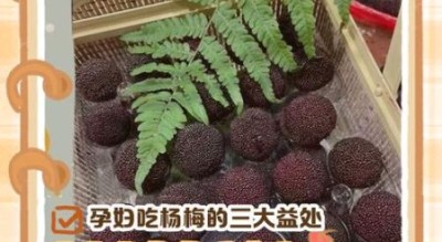 孕妇吞了杨梅核怎么办_对胎儿有影响吗