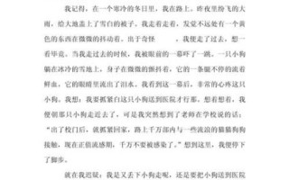 冬天作文怎么写_冬天作文开头结尾