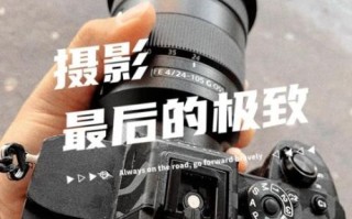 外出旅游只带一个镜头_24-70还是24-105