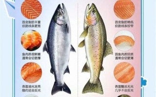 孕妇可以吃三文鱼吗_三文鱼孕妇每周吃几次