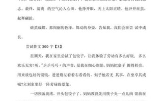 尝试作文300字怎么写_小学生作文技巧