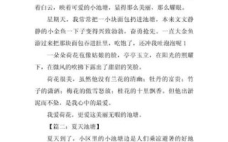 夏日荷塘怎么写_夏日荷塘作文写作技巧