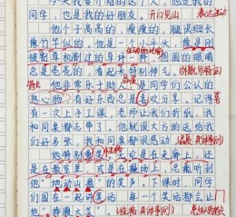 小学生三年级作文怎么写_三年级作文不会写怎么办