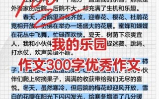 我的乐园作文怎么写_小学生300字作文范例