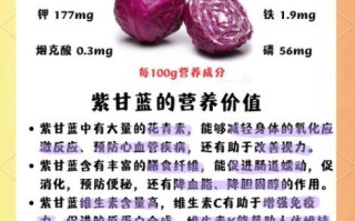 孕妇可以吃紫甘蓝吗_紫甘蓝对孕妇的好处
