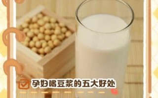 孕妇喝豆浆好吗_孕妇喝豆浆对胎儿好吗