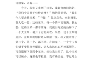 摘玉米作文怎么写_摘玉米作文开头怎么写