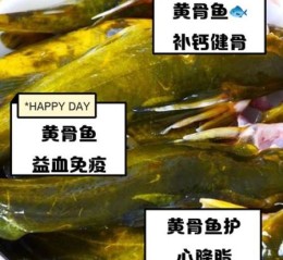 孕妇可以吃黄骨鱼吗_黄骨鱼对胎儿好吗