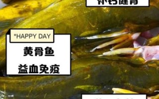 孕妇可以吃黄骨鱼吗_黄骨鱼对胎儿好吗