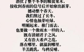 感谢那场风雨_风雨教会了我什么