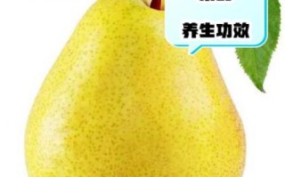 孕妇可以吃梨吗_梨对胎儿的好处