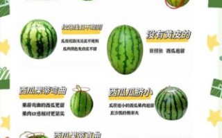 西瓜怎么挑选_西瓜为什么这么甜