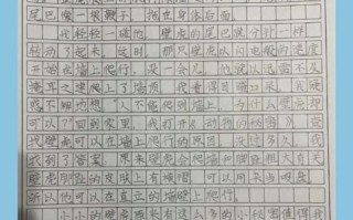 小学生如何写好发现作文_发现作文写作技巧