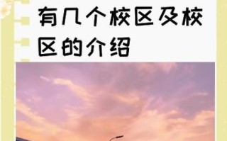 天津理工大学录取查询入口在哪_天津理工大学录取结果什么时候出