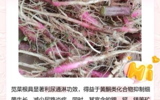 孕妇苋菜可以吃吗_苋菜对孕妇的好处与禁忌