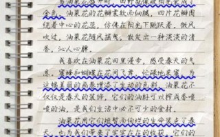 油菜花作文怎么写_油菜花作文开头怎么写