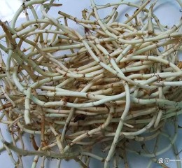 孕妇可以吃折耳根吗_折耳根孕妇能吃吗