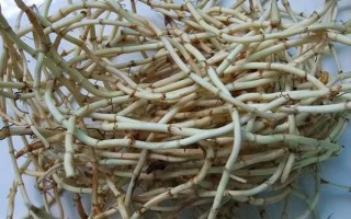 孕妇可以吃折耳根吗_折耳根孕妇能吃吗