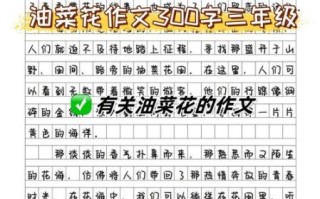 油菜花作文怎么写_油菜花描写技巧