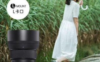 超远摄镜头怎么选_超远摄镜头适合拍什么