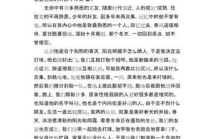 高中作文多少字_如何写够800字