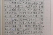 五年级下册第五单元作文怎么写_如何把人物特点写具体