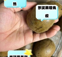 孕妇能吃罗汉果吗_罗汉果泡水对胎儿有影响吗