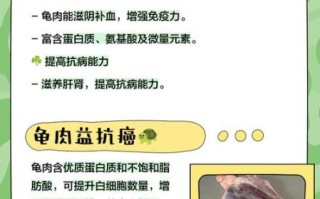 孕妇能吃龟吗_孕妇吃龟肉对胎儿好吗