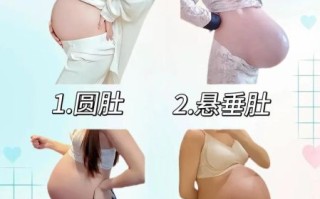 孕妇肚子大小正常吗_孕妇肚子形状怎么看
