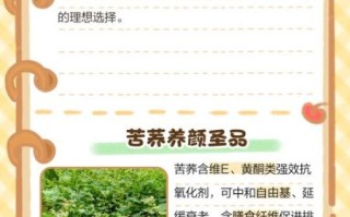 孕妇能吃苦荞吗_苦荞对孕妇的利弊