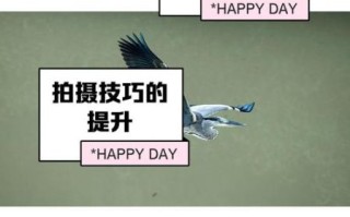 拍动物用什么镜头_长焦还是广角