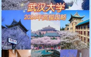 武汉大学中文系怎么样_就业前景如何