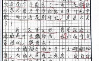 二年级作文怎么写_如何提高二年级作文水平