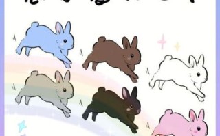 孕妇梦见兔子是胎梦吗_胎梦兔子预示什么