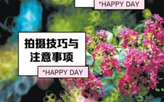 折返式镜头是什么_折返式镜头优缺点