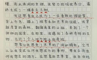 奇妙的想象作文怎么写_如何激发孩子的想象力