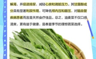 孕妇可以吃油麦菜吗_油麦菜对孕妇的好处