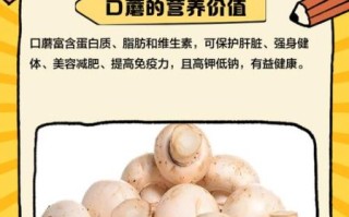 孕妇可以吃口蘑吗_口蘑对胎儿的影响