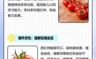 孕妇多吃西红柿好吗_孕期吃西红柿的注意事项