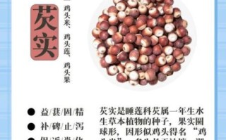 孕妇能吃芡实吗_芡实对孕妇有什么好处